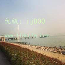 ˽
