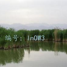 ļ